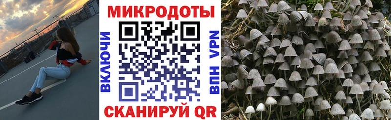 Галлюциногенные грибы GOLDEN TEACHER  Купить закладки  Нижнекамск 
