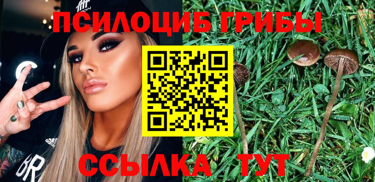Псилоцибиновые грибы GOLDEN TEACHER  Псилоцибиновые грибы мицелий  Нижнекамск  Вход с VPN 