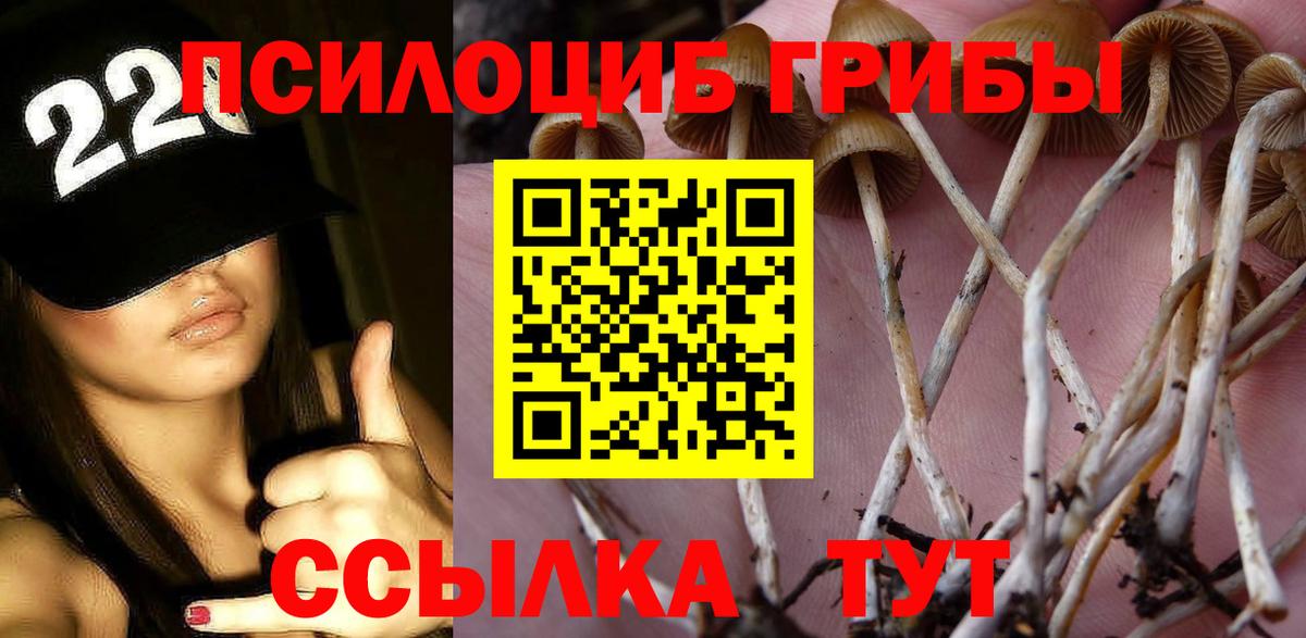 Галлюциногенные грибы MAGIC MUSHROOMS Нижнекамск