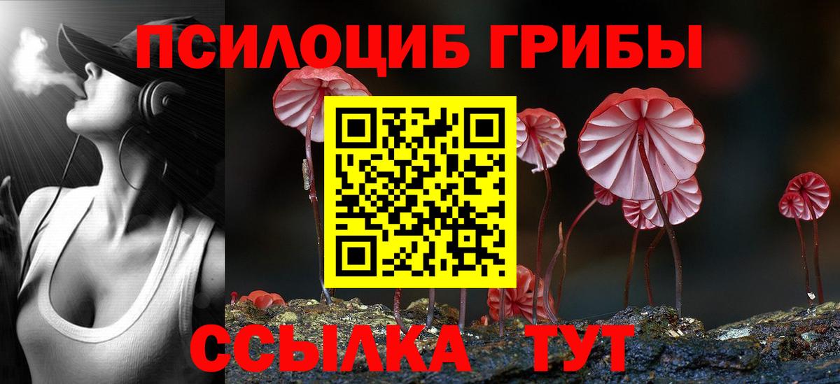 Псилоцибиновые грибы ЛСД Нижнекамск