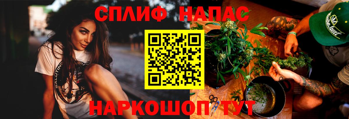 Марихуана White Widow  Конопля конопля  Бошки марихуана индика  Нижнекамск 